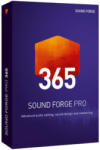 MAGIX Sound Forge Pro 365 - subscriptie anuala (ANR008308SUBS)
