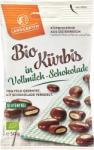  Seminte de dovleac invelite in ciocolata cu lapte fara gluten bio 50g Landgarten