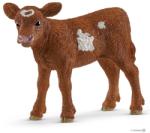 Schleich Texasi Longhorn hosszúszarvú borjú (13881)