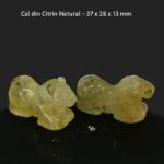  Cal din Citrin Natural - 37 x 28 x 13 mm