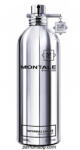 Montale Patchouli Leaves EDP 100 ml Tester Parfum