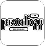  Prodigy The Experience (cd)