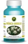 Hypericum Plant Branca Ursului 60 comprimate