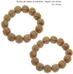  Bratara din Samburi de Rudraksha - Diametru 60- 64 mm - Margele Rotunde - 16 x 16 mm