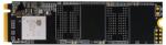 BIOSTAR M700 256GB M.2 PCIe (SS263PME32)