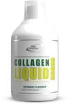 Pro Nutrition Collagen Liquid 50000 (0, 5 lit. )