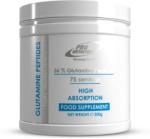 Pro Nutrition Glutamine Peptides (300 gr. )