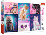 Trefl Neon Color Line - Macskák 1000 db-os (10581)