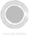 Sumitomo BC100 205/60 R15 91H