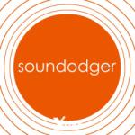 Adult Swim Games Soundodger+ (PC)