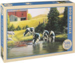 Cobble Hill Puzzle Cobble Hill din 500 de piese - Vacile holsteins, Dougles Laird (52103) Puzzle