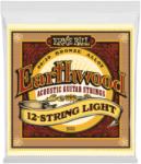 ERNIE BALL Earthwood Bronze 12 String Light 9-46