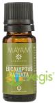 Elemental Ulei Esential de Eucalipt Radiata 10ml