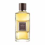 Guerlain L'Instant de Guerlain pour Homme EDP 100 ml