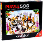 Anatolian Puzzle Anatolian din 500 de piese - Zoo Selfie, Howard Robinson (3584) Puzzle