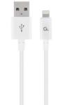 Gembird CC-USB2P-AMLM-2M-W