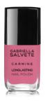 Gabriella Salvete Longlasting Enamel lac de unghii 11 ml pentru femei 53 Carmine
