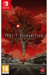 Rising Star Games Deadly Premonition 2 A Blessing in Disguise (Switch)