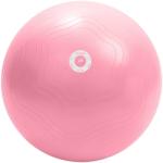 Pure2Improve Minge de fitness, roz, 65 cm P2I201480 (427697) Minge fitness