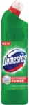 Domestos Dezinfectant WC, 750 ml, Pine Fresh