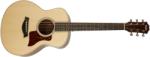 Taylor GS Mini-e Rosewood