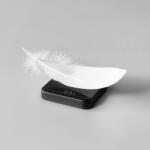 Acaia Pyxis (Barista)