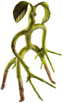 The Noble Collection Statueta The Noble Collection Movies: Fantastic Beasts - Bowtruckle, 20 cm Figurina