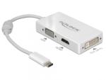 Delock USB-C/VGA/DMI/DVI (63924)