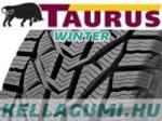 Taurus Winter 205/65 R16 95H