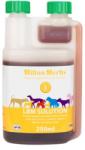 Hilton Herbs Soluție de susținere a vezicii urinare LBM solution 250 ml