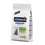 Affinity Cat Junior Sterilised 10 kg - pet
