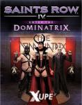 Deep Silver Saints Row IV Enter The Dominatrix DLC (PC)