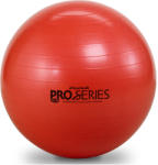 Thera-Band ProSeries Premium Gymnastic ball 55 cm (TH_12041) Minge fitness