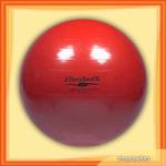 Thera-Band Gymnastic ball 55cm (TH_23020) Minge fitness