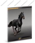 Ars Una Lovas/Horse - Fekete ló prémium kockás füzet, A4 - Ars Una (93116091_kockas_premium_a4)