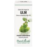PlantExtrakt Extract din muguri de ULM, 50 ml, Plant Extrakt
