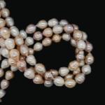  Perle de Cultura Ovale Margele Bijuterii - 12-14 x 11-12 mm - Lungime Sirag 39 cm