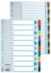 Esselte Separatoare cu index colorat laminat Esselte, 1-10 - Pret/set (SL4021)