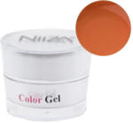  NiiZA ColorGel #02