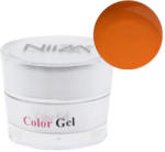  NiiZA ColorGel #04