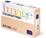 Antalis Carton color Coloraction, A4, 160 g, 250 coli/top, somon - Savana (CL1604)