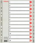 ESSELTE Separatoare Esselte, din plastic cu index 1-12 (SL4003)