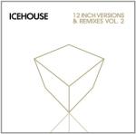 Icehouse 12 Inches 2