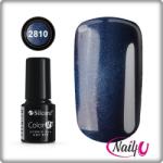 Silcare Color It! Premium Cat Eye 2810#