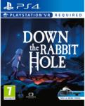 Perp Down the Rabbit Hole VR (PS4)