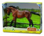 CollectA Figurina in cutie Iapa Thoroughbred Bay pictata manual WB Collecta (COL89578WB) - ookee Figurina