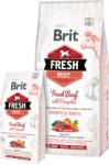 Brit Junior Talie Mare Vita cu Dovleac 2, 5 kg