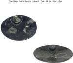  Obiect Decor Fosil Orthoceras cu Amonit - Oval - 12, 5 x 10 cm - 1 Buc