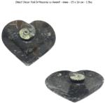  Obiect Decor Fosil Orthoceras cu Amonit - inima - 11 x 10, 5 cm - 1 Buc