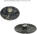  Obiect Decor Bol Fosil Orthoceras - Oval - 18 x 15 cm - 1 Buc Castron